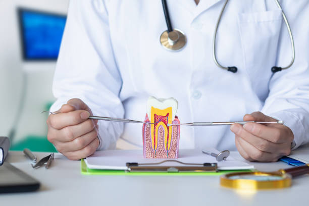 Best Emergency Dental Care for Broken or Chipped Teeth in Governors Village, NC